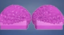 Brains